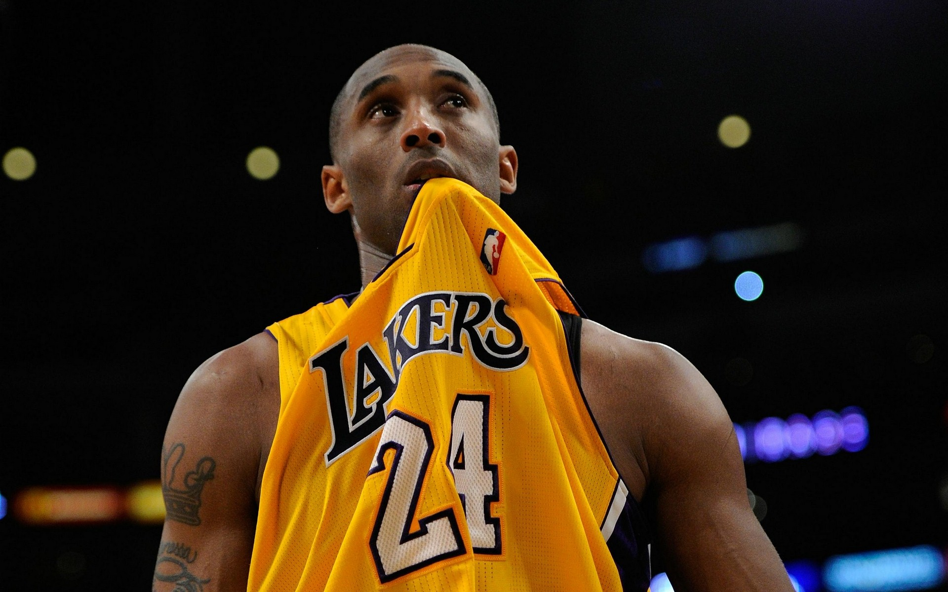 构成天然新 构成天然新